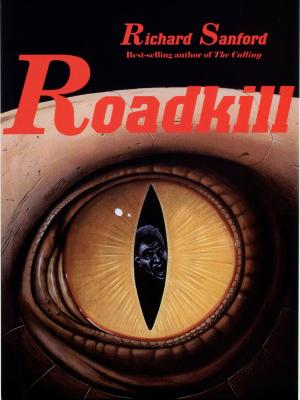 Cover of the book Roadkill by J. Zachary Pike