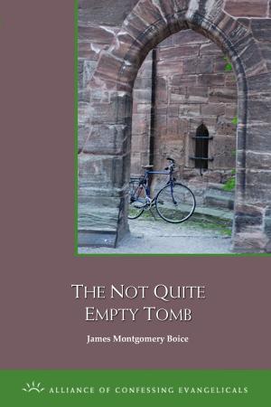 Book cover of The Not Quite Empty Tomb
