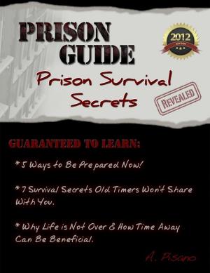 Cover of the book Prison Guide: Prison Survival Secrets Revealed by Creek Stewart