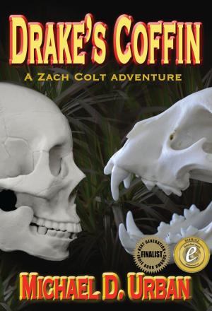Cover of the book Drake's Coffin by T M Rowe