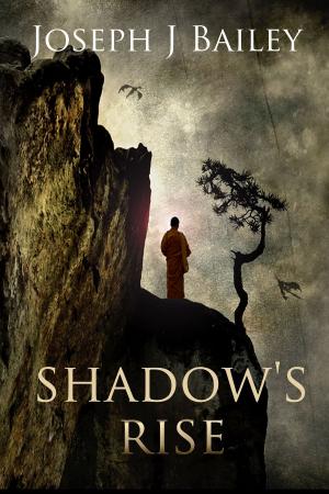 Cover of the book Shadow's Rise by Alyson Serena Stone