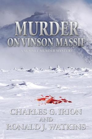 Book cover of Murder on Vinson Massif