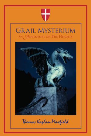 bigCover of the book Grail Mysterium: An Adventure on The Heights by 
