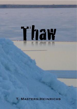 Cover of the book Thaw by Don Kross