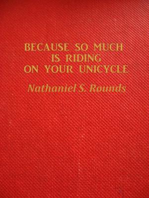 Book cover of BECAUSE SO MUCH IS RIDING ON YOUR UNICYCLE