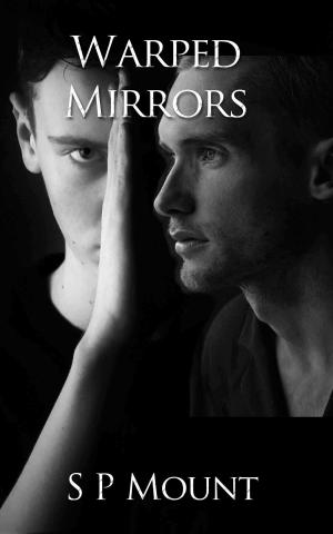 bigCover of the book Warped Mirrors by 