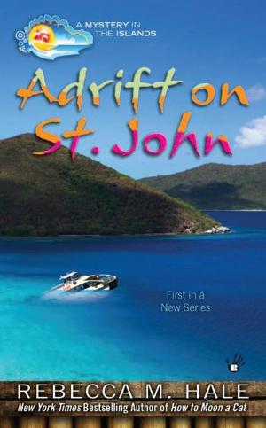 Cover of the book Adrift on St. John by Quobna Ottobah Cugoano