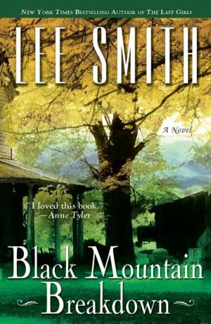 Book cover of Black Mountain Breakdown