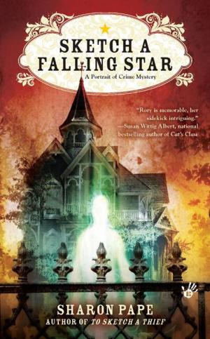Cover of the book Sketch a Falling Star by Carl Alasko, Ph. D.