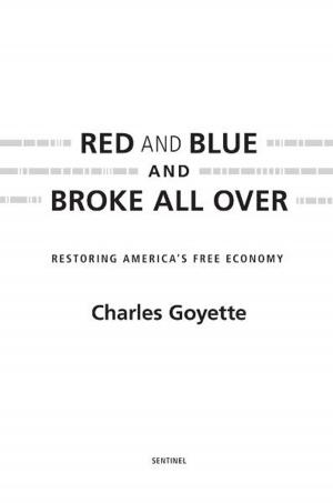 Cover of the book Red and Blue and Broke All Over by John Lescroart
