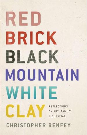 Cover of the book Red Brick, Black Mountain, White Clay by Lila Dare