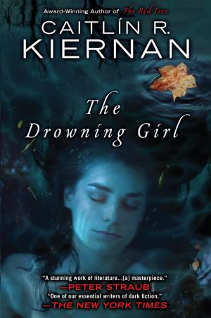 Cover of the book The Drowning Girl by J. M. Coetzee