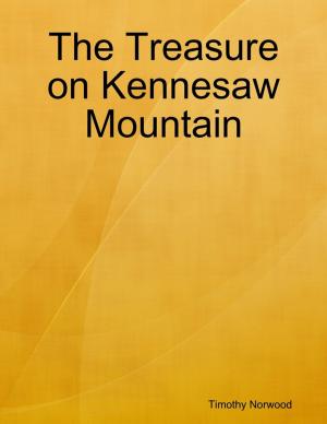Cover of the book The Treasure on Kennesaw Mountain by Vicky DiMichele
