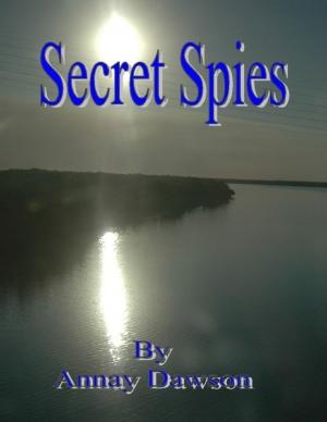 Cover of the book Secret Spies by Leslie K. McDaniel
