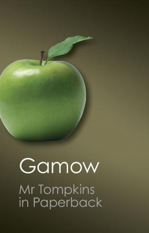 Book cover of Mr Tompkins in Paperback