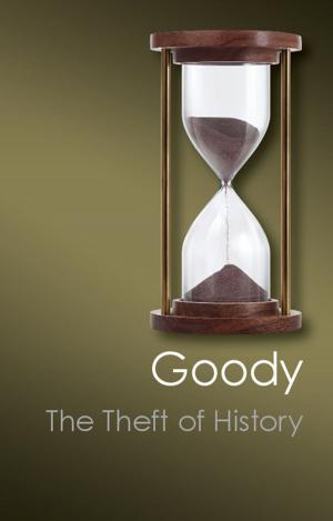 Cover of the book The Theft of History by Vincent Pouliot
