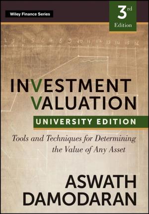 Cover of the book Investment Valuation by Damian Cox, Michael Levine