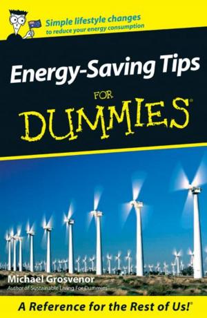 Cover of the book Energy-Saving Tips For Dummies by Arthur Kroker