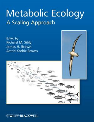 Cover of the book Metabolic Ecology by Thomas G. Weiss