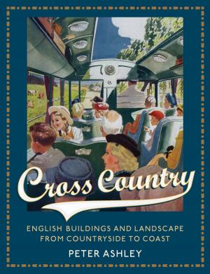 Cover of the book Cross Country by Stanley Weinstein, Brydon M. DeWitt, Erik J. Daubert