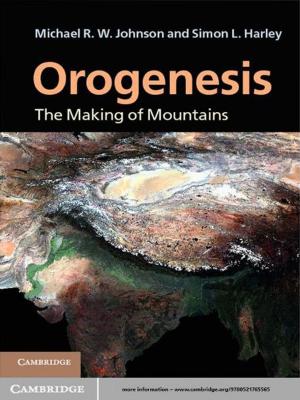 bigCover of the book Orogenesis by 