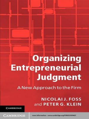 Cover of the book Organizing Entrepreneurial Judgment by 