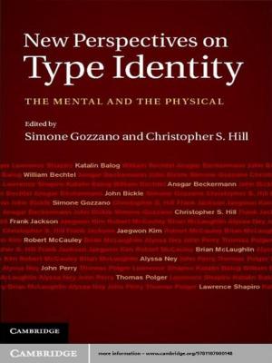 Cover of the book New Perspectives on Type Identity by Phillip Cenere, Robert Gill, Celeste Lawson, Michael Lewis