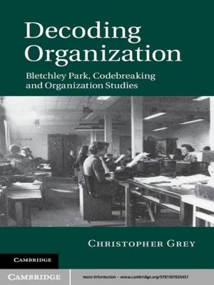 Cover of the book Decoding Organization by Roger D. Woodard