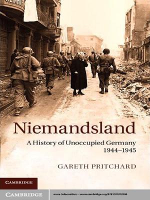 Cover of the book Niemandsland by Toby Matthiesen