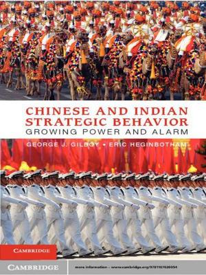 Book cover of Chinese and Indian Strategic Behavior