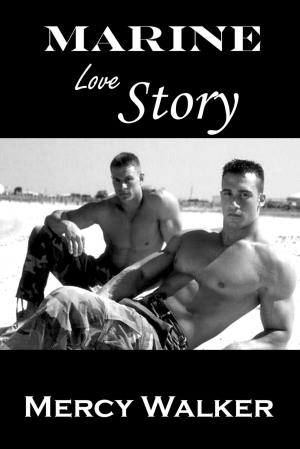 bigCover of the book Marine Love Story by 