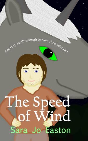 Cover of the book The Speed of Wind by Alec Price