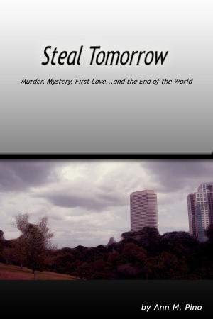 Book cover of Steal Tomorrow