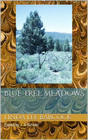 Cover of the book Blue Tree Meadows by Rudie Van Rensburg