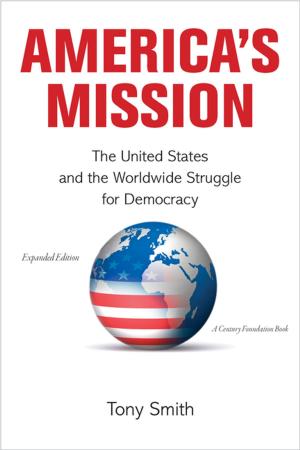 Cover of the book America's Mission by Muhammad Qasim Zaman