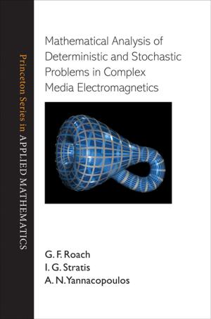 Cover of the book Mathematical Analysis of Deterministic and Stochastic Problems in Complex Media Electromagnetics by Ralph Lorenz, Jacqueline Mitton