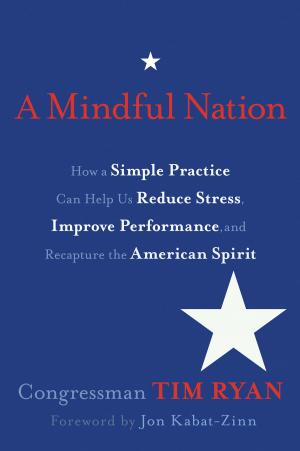 Cover of the book A Mindful Nation by Ervin Laszlo, Jude Currivan