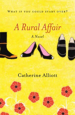 Cover of the book A Rural Affair by Lucinda D. Davis