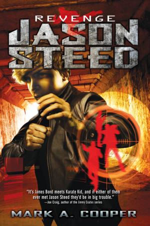 Book cover of Revenge: Jason Steed