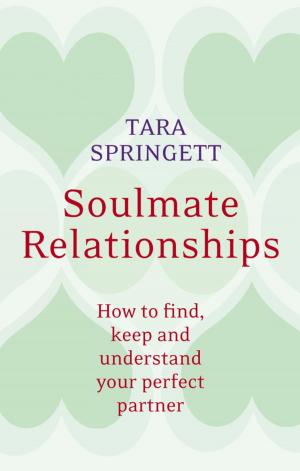 Cover of the book Soulmate Relationships by Chris Ellis