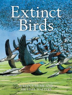 Book cover of Extinct Birds