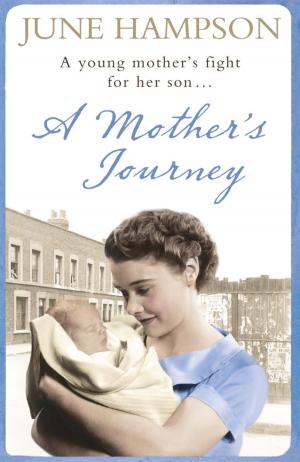 Book cover of A Mother's Journey