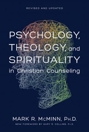 Cover of the book Psychology, Theology, and Spirituality in Christian Counseling by Ronald A. Beers, Amy E. Mason