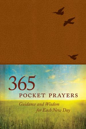 Book cover of 365 Pocket Prayers