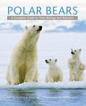 Cover of the book Polar Bears by Jon Cowans