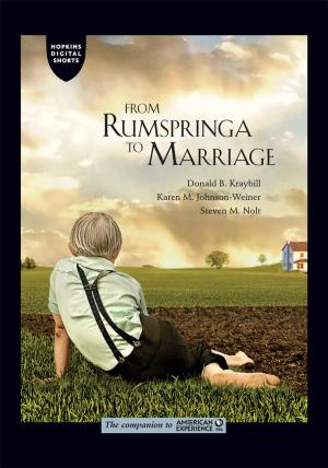 Cover of the book From Rumspringa to Marriage by Kevin W. Plaxco, Michael Gross
