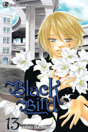 Book cover of Black Bird, Vol. 13