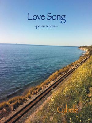 Cover of the book Love Song by Raymond Van Zleer