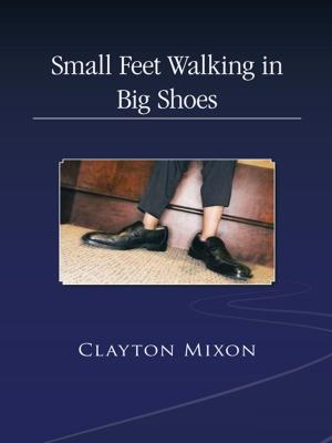 Cover of the book Small Feet Walking in Big Shoes by C. D. Peterson