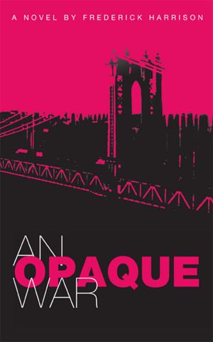Cover of the book An Opaque War by A. D. Davies